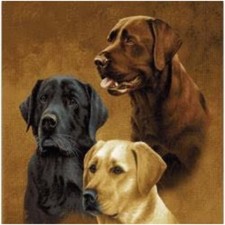 Faux Fur Mink Throw Blanket