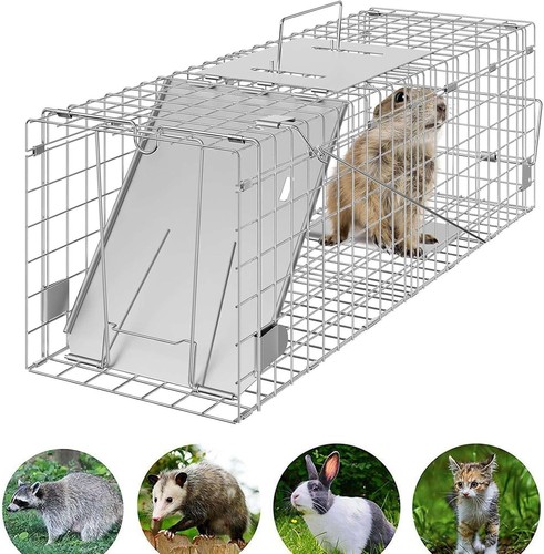 Live animal cage - live, rabbit