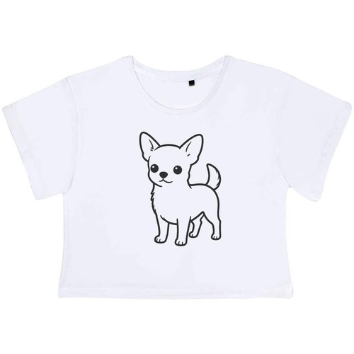 Chihuahua puppy women - 'chihuahua, puppy'