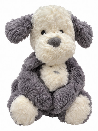 Grey white puppy - grey,