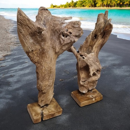 Teak root wood burl wood