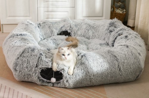 Cat tunnel - cat,