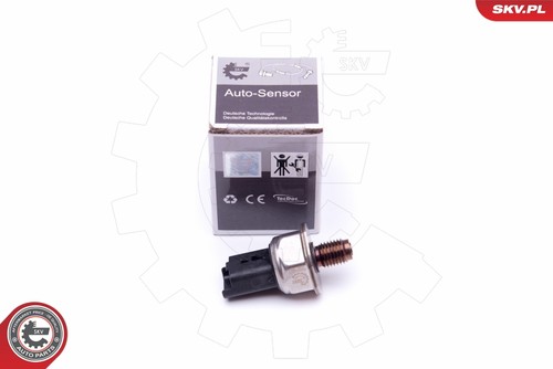 Esen skv 17skv598 - 17skv598, fuel