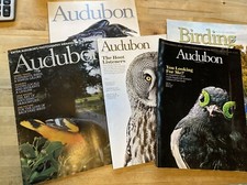 CHOICE of  BIRD MAGAZINES