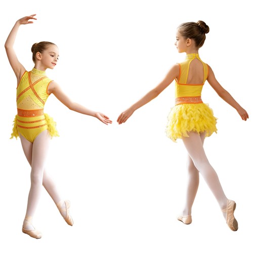 Girls dance ballet - dance ballet, leotard