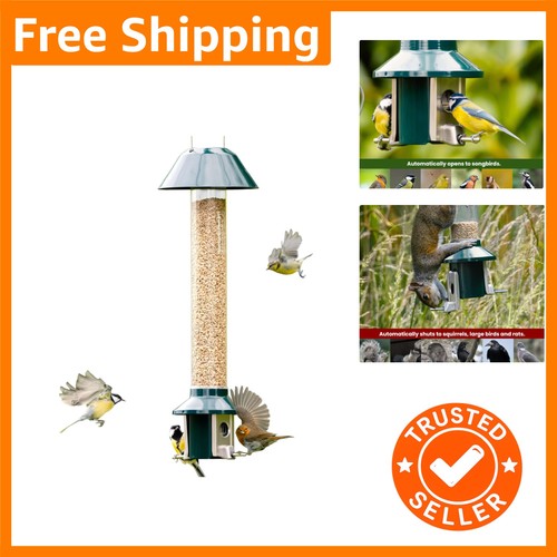 Indestructible squirrel proof - squirrel,