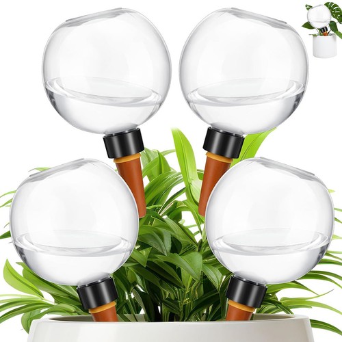 Self watering plant - plant, bulbs