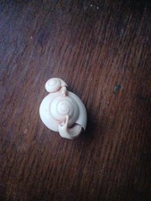 Snail Tiny Ornament With