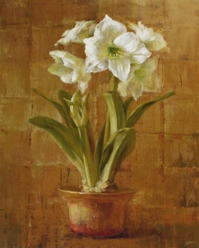 Danhui nai white amaryllis - danhui, on