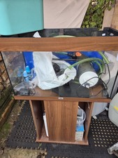 Marine/ Tropical Aquarium