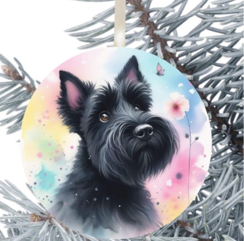 Scottish scottie terrier dog - scottie,