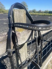 Albion Cob Size Padded Bridle