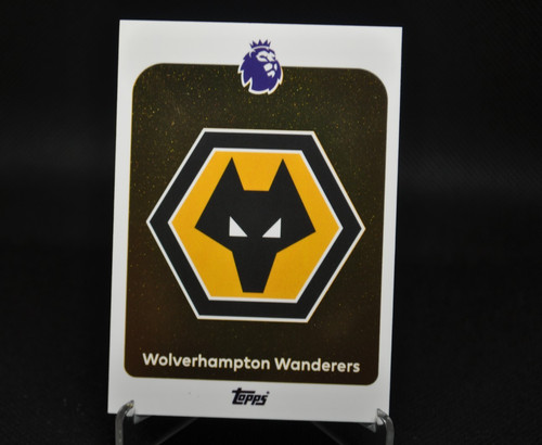 Wolverhampton wanderers team - wolverhampton,