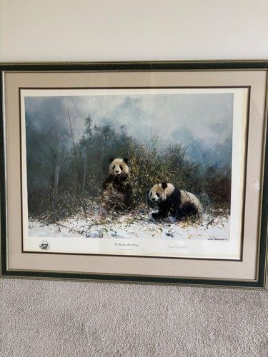 David shepherd the pandas - david,