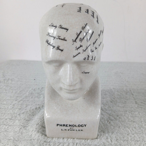 Phrenology head n - by, l