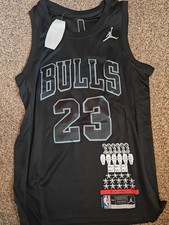 Chicago bulls mvp - chicago, trophy