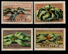 Angola - 1959 Welwitschia
