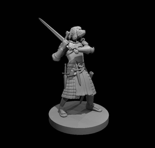 Dungeons dragons komondor - dungeons,