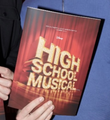 Disneys high school musical - disneys,