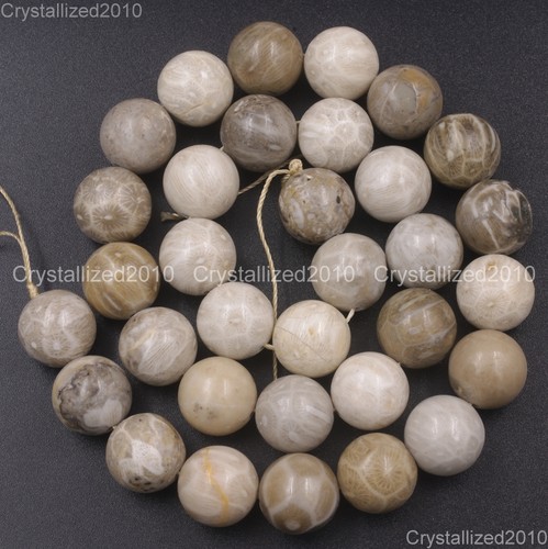 Natural coral fossil gemstone - natural,