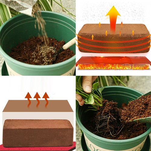 2pc 650g coco - coco, coir