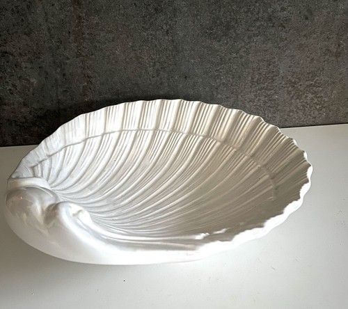Scallop shell bowl - shell,