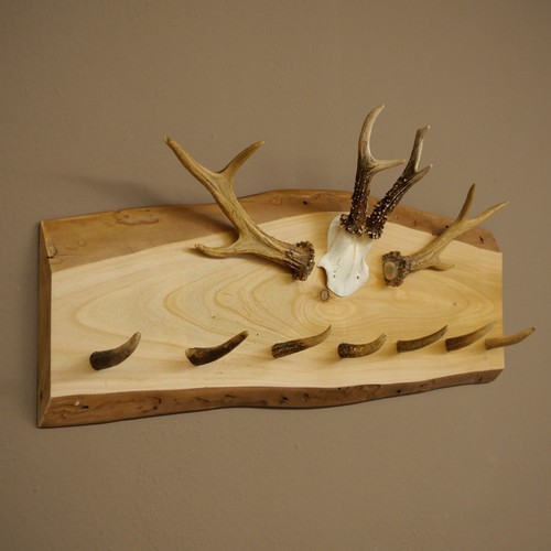 New wall roe deer - new,