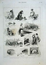 Original Old Antique Print Kennel Club Show Crystal Palace 1884 Dogs Victorian