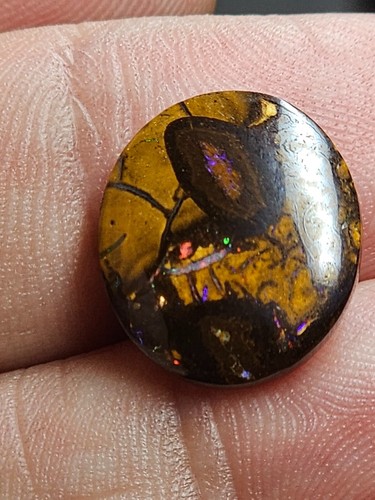 Queensland boulder opal - boulder,