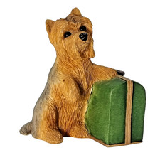 Yorkshire Terrier Dog and Case
