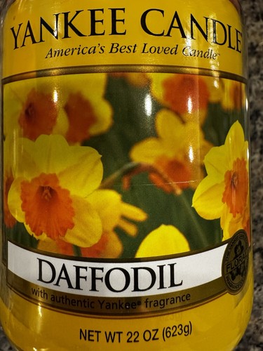 Rare daffodil yankee candle - rare,