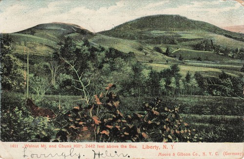 1907 walnut chunk hill - chunk,