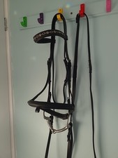 Mark Todd Leather Flash