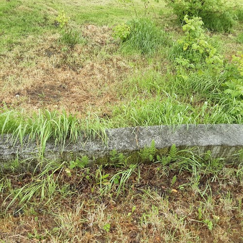 Reclaimed stone granite - reclaimed,