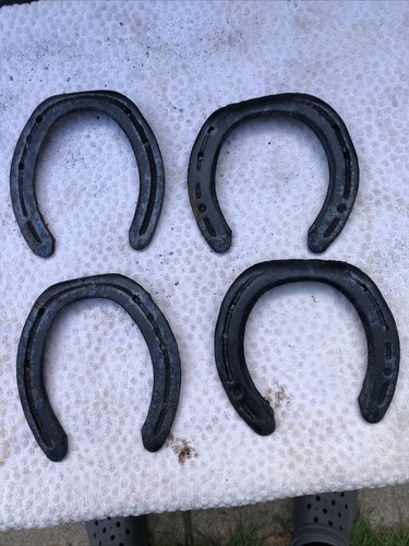 Horse shoe set - horse, 4