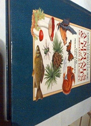 Kingfisher concise field guide - kingfisher,