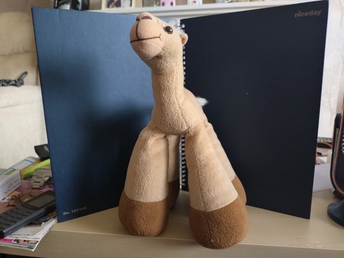 Bambino dubai camel - bambino, of
