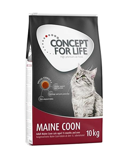 Concept for life - for,