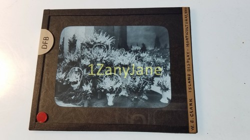 Dfb glass magic lantern - dfb,