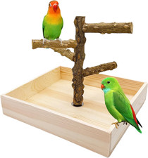 Bird Perch Stand Playground