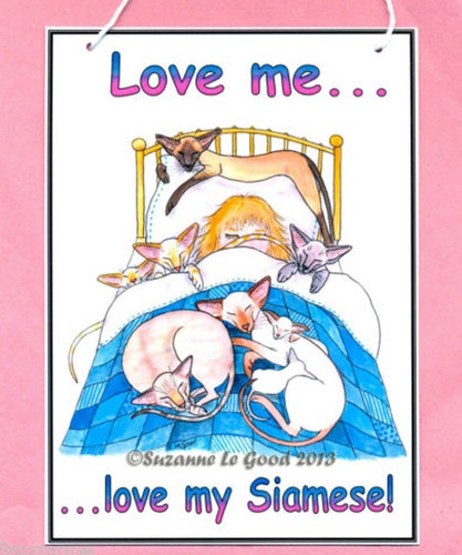Siamese cat art sign - siamese,