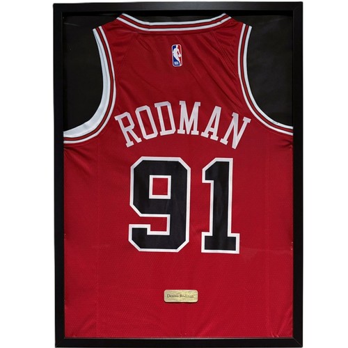 Chicago bulls dennis - chicago, rodman