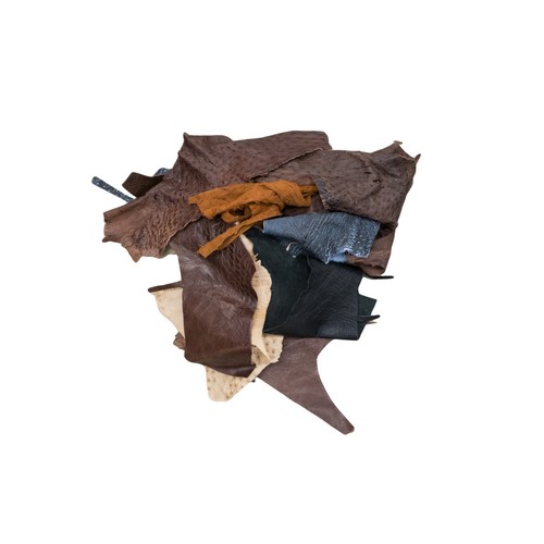 Ostrich leather scrap - leather, 1-3oz