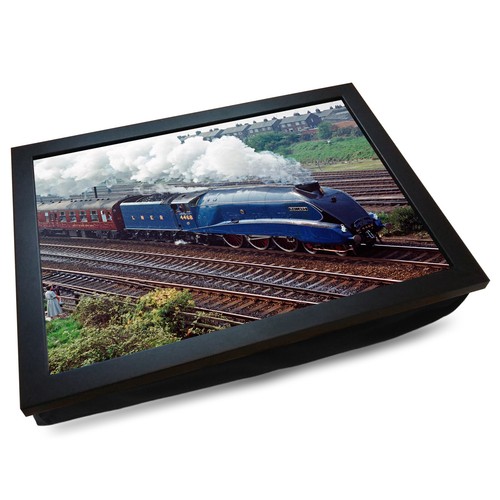 Deluxe cushioned lap tray - deluxe,
