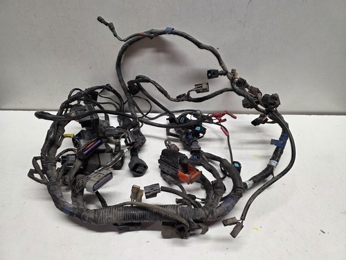 2012 triumph tiger 1050 wiring - tiger,