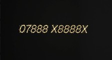 07888 X8888X - GOLD PLATINUM