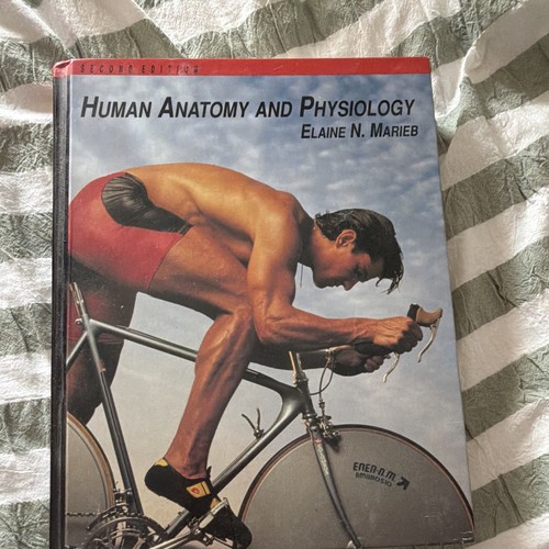 Human anatomy and - human,