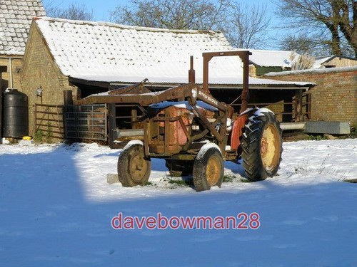 Photo david brown - brown, fore