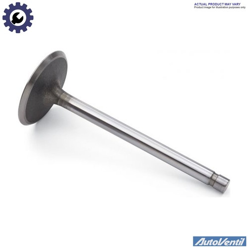 Intake valve v1643 - intake, for