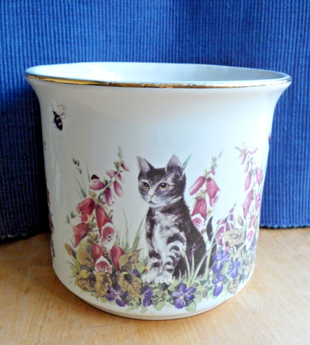 Maryleigh pottery - maryleigh,